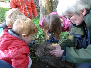 Searching for minibeasts
